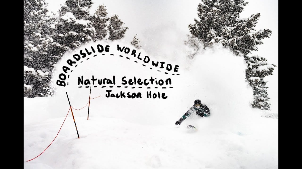 boardslide - Boardslide Worldwide Natural Selection