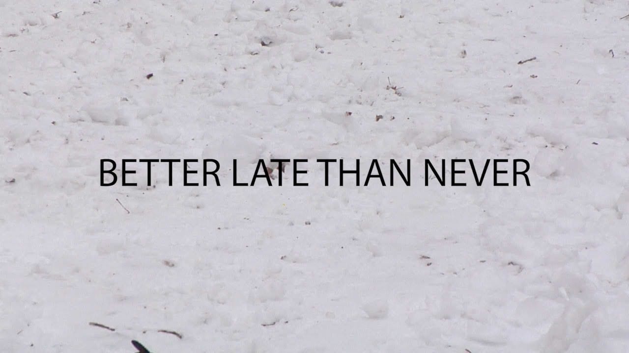 betterlate - Better Late Than Never