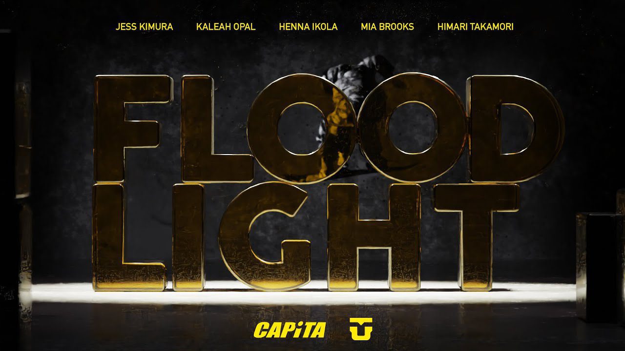 FLOOD LIGHT flood light - FLOOD LIGHT
