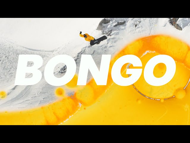 Bongo bongo - Bongo
