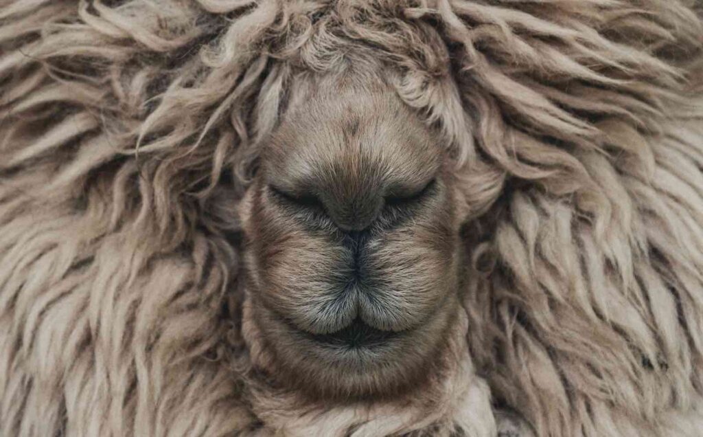 7f27b496 2b70 55d1 48ae 7f026a0bb466 1024x636 - OutDoor by ISPO 2024: Sustainability Hub