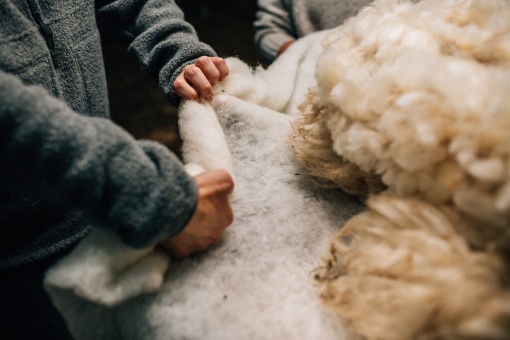 c4693c69 d957 dff0 56db 472c656d7b8a 1024x683 - OutDoor by ISPO 2024: Sustainability Hub