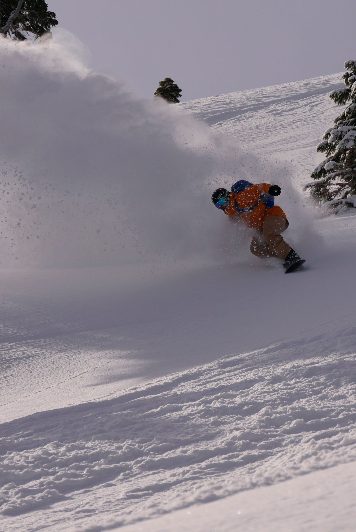 trout - Splitfest Season 2025