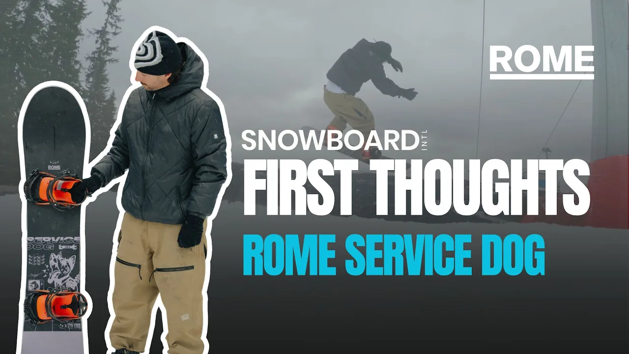 Rome Service Dog 2025 2026