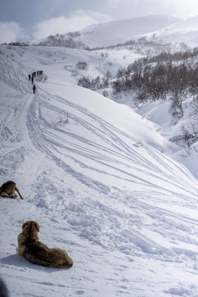 Georgia: Where Europe Meets the Sky Snowboard International 2 Georgia 12 683x1024 - Georgia: Where Europe Meets the Sky