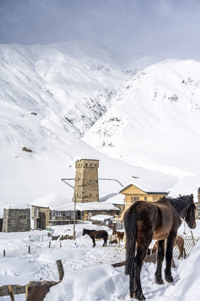 Georgia: Where Europe Meets the Sky Snowboard International 2 Georgia 14 683x1024 - Georgia: Where Europe Meets the Sky