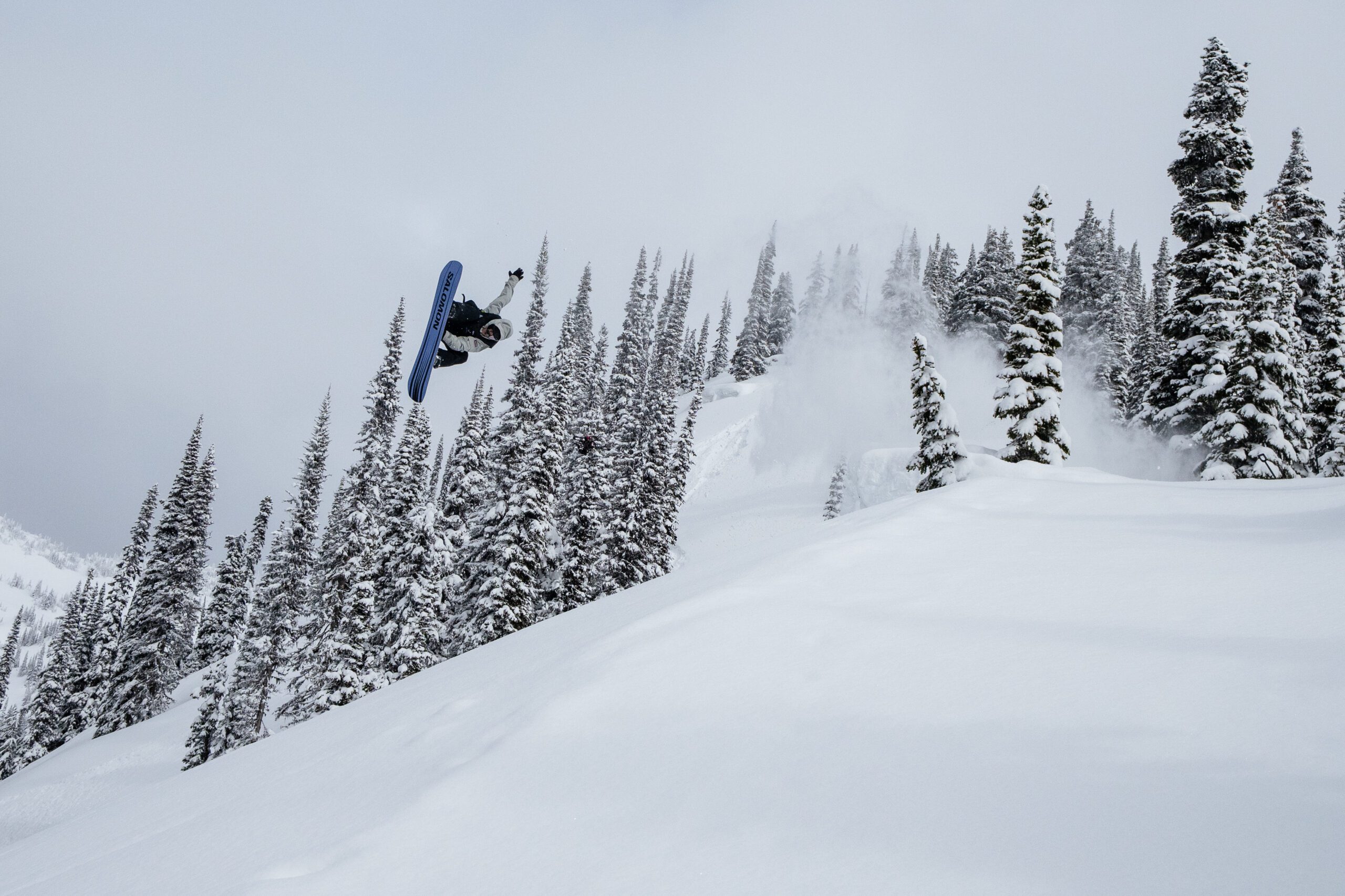 Home CC 20260310 NaturalSelection 1006 scaled - Home