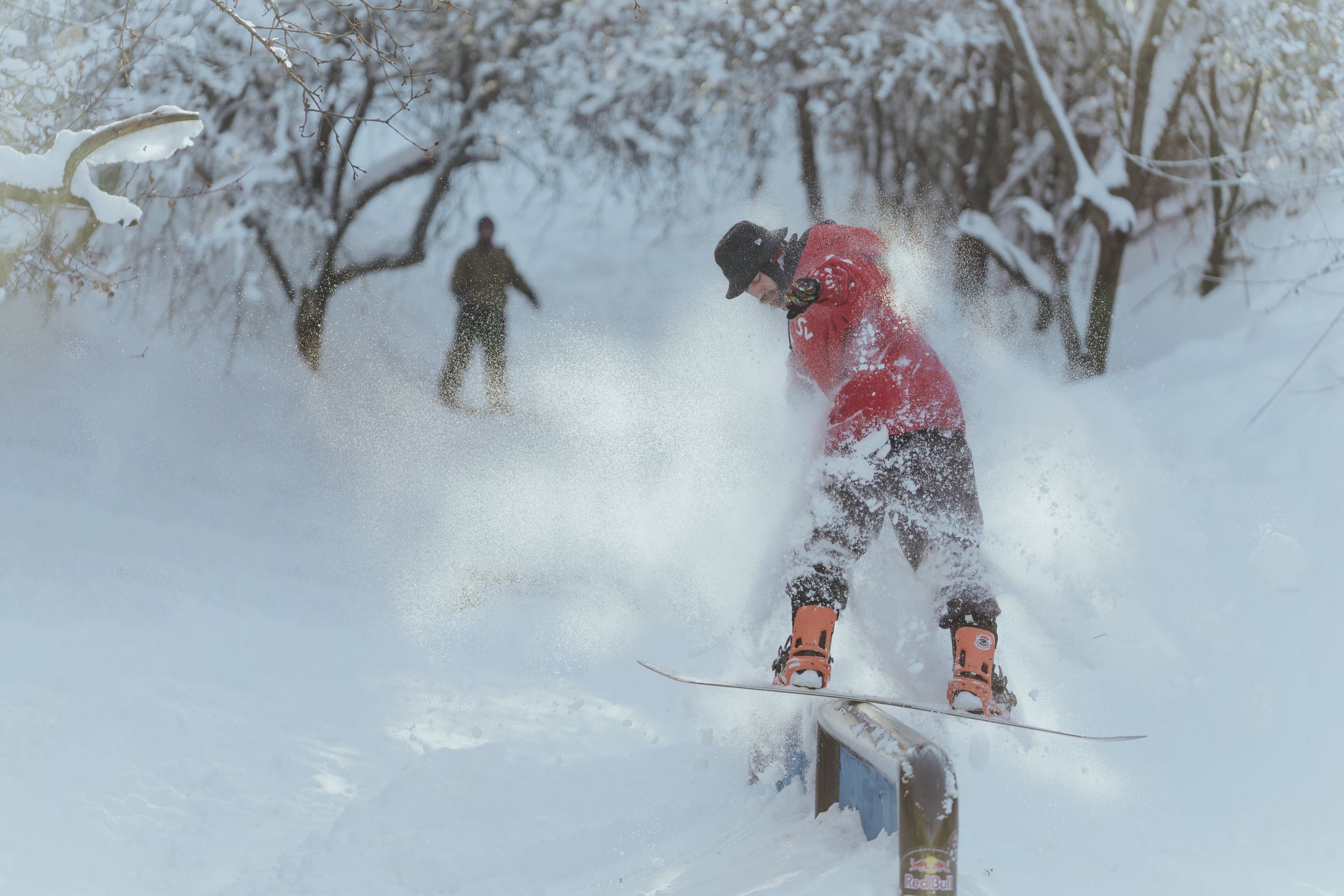 Home DSC05004 - Home